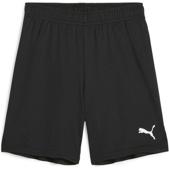 PUMA Teamgoal shorts 176
