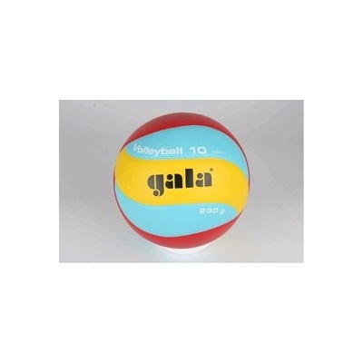 Gala Volleyball 10 BV 5651 S