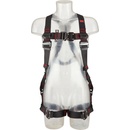 3M Protecta
