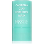 Neogen Dermalogy Canadian Clay Pore Stick Mask дълбоко почистваща маска за стягане на порите 28 гр