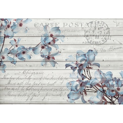 Preinterier FT5233 Fototapeta na stenu Vintage vlies 152cm x 104cm