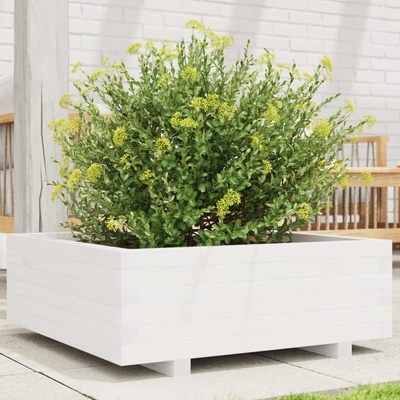 vidaXL truhlík bílý 70 x 70 x 26,5 cm masivní borovice
