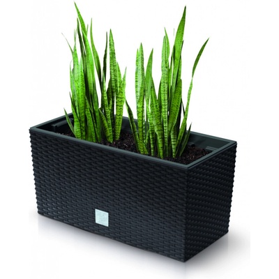 Nohel garden Truhlík RATO CASE 2v1 samozavlažovací plastový 40x19x20cm