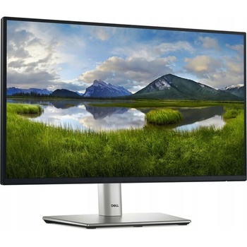 Dell P2425E
