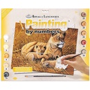 Malování podle čísel Lvice s lvíčaty