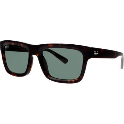 Ray-Ban Warren RB4396 135971