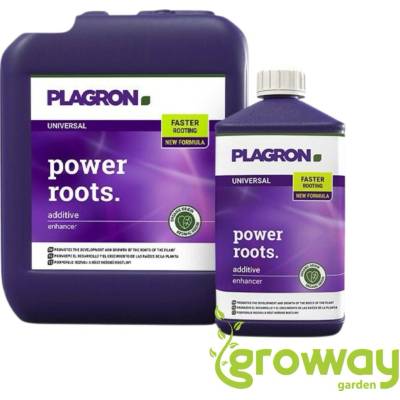 Plagron Power Roots 1 l