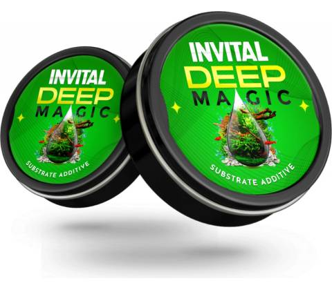 Invital DeepMagic 20 g