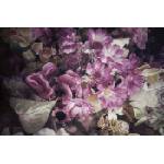 DIMEX ART Флизелинов фототапет изкуствени цветя 375 x 250 см