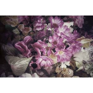 DIMEX ART Флизелинов фототапет изкуствени цветя 375 x 250 см