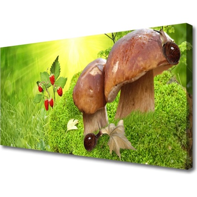 Obraz na plátne Huby divoké jahody 100x50 cm