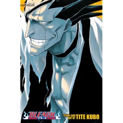 Bleach 3-in-1 Edition, Vol. 5