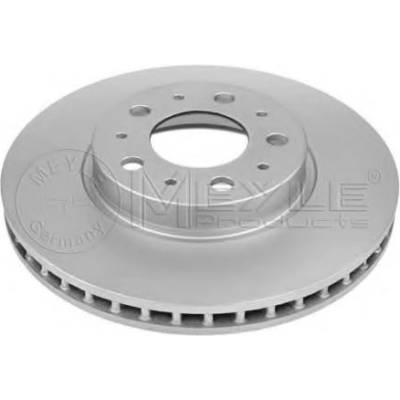 MEYLE Brzdový kotouč PLATINUM DISC - 315 mm ME 315 521 3052/PD