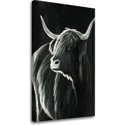 Obraz na plátne BÝK 002 - 50x70 cm