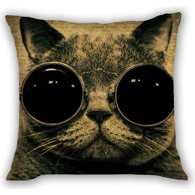 Huado mačka s okuliarmi PLW-25971 45 x 45 cm