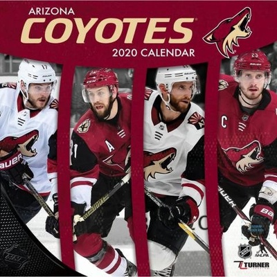 JF Turner Arizona Coyotes Wall 2020