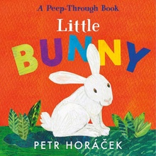Little Bunny - Petr Horáček