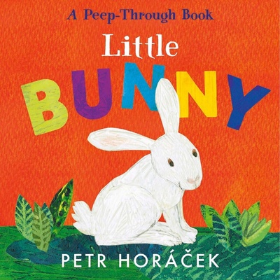 Little Bunny - Petr Horáček