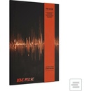 Treasure - Love Pulse - Rockchick Version (CD)