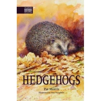Hedgehogs | Pat Morris