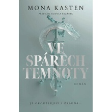 Ve spárech temnoty - Mona Kasten
