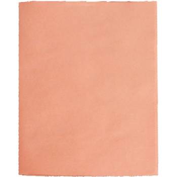 Папка картонена три капака без етикет Pigna Оран (1303031-04-0221802-AR)