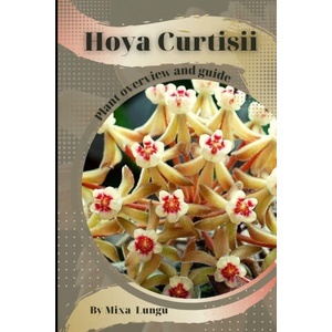 Hoya Curtisii (2023)