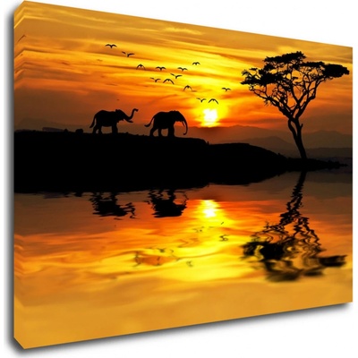 Impresi Obraz Safari západ slunce - 60 x 40 cm