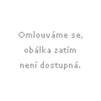 Slovensko rok po