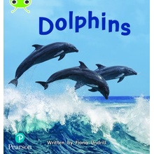 Bug Club Phonics Non-Fiction Year 1 Phase 5 Unit 13 Dolphins