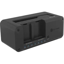 Icy Box IB-2924MSCL-C31