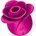 Satisfyer Pro 2 Modern Blossom