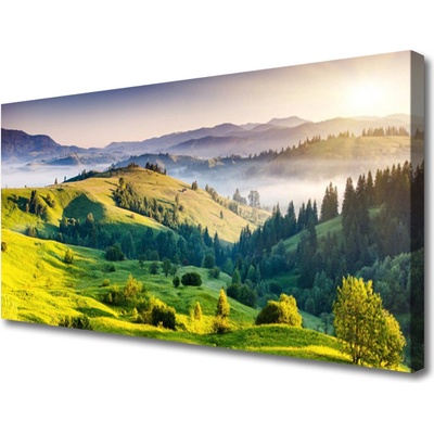 Obraz na plátně Hora Pole Mlha Příroda 100x50 cm