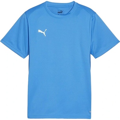 Puma teamGOAL T Shirt 658637 02