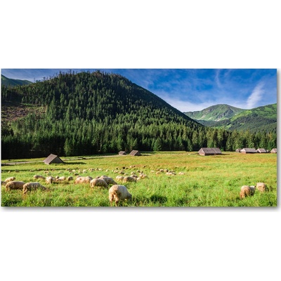 Foto obraz sklo tvrzené Ovce v Tatrách 100x50 cm