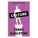 Culture Eagleton Terry