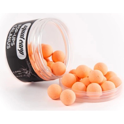 Squat Carp Plávajúce Pop-Up Calanus 60 g 12 mm
