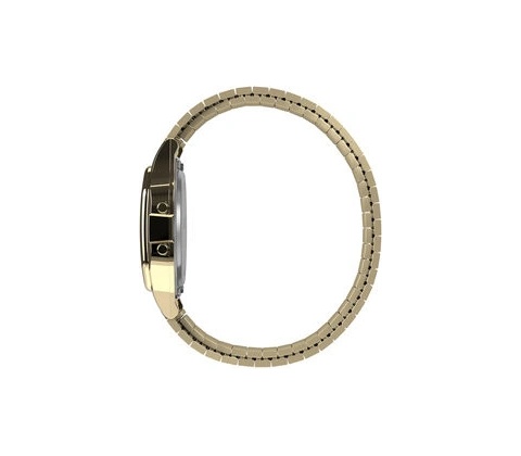 Timex TW2R79000
