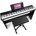 Max RhapsodyDP88P