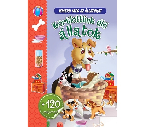 Körülöttünk élő állatok