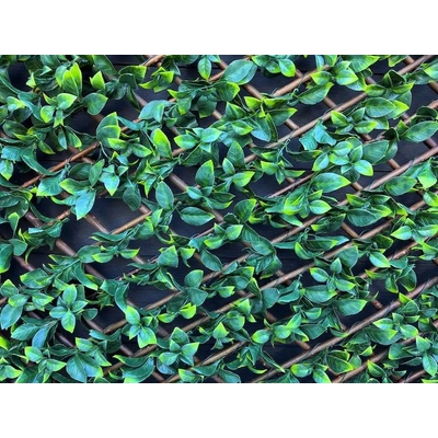 ROSSIMA Декоративна ограда хармоника лукс Rossima - Гардения 1 х 2 m, PVC, зелена (MZ 186011A)