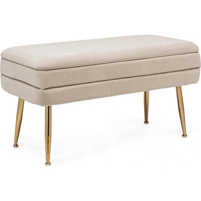 Bizzotto Pavlina БЕЖОВА ПЕЙКА (0720384)