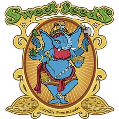 Sweet Seeds Terp Explosion Mix semena neobsahují THC 4 ks
