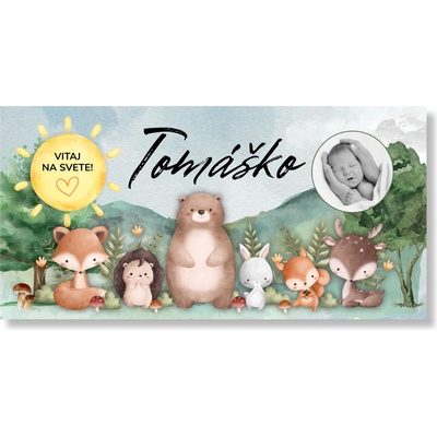 Personal Banner na privítanie bábätka -Zvieratká v lese Rozmer banner: 130 x 260 cm