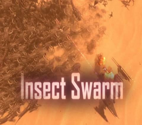 Insect Swarm