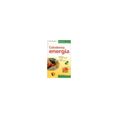 Celodenná energia