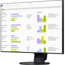 Eizo EV2451