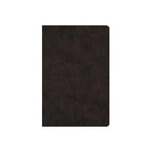 ESV Large Print Bible | Crossway Bibles (ISBN: 9781433551789)