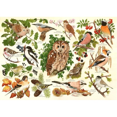 The House of Puzzles Lesné vtáky 500 dielov