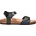 LOAP TARU 38